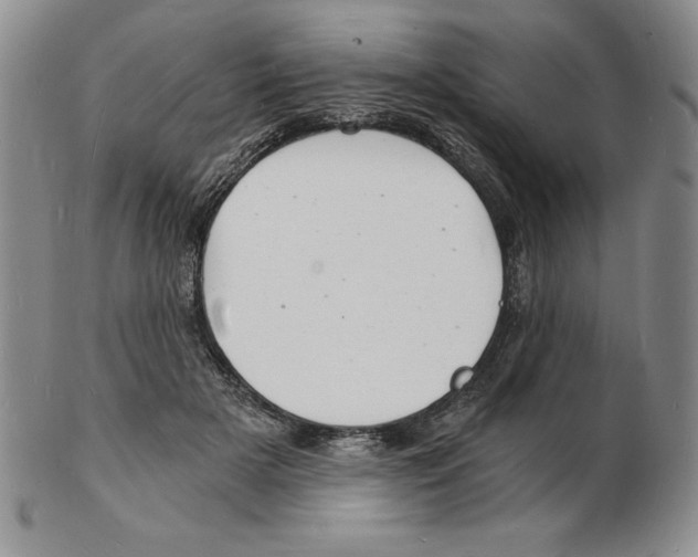 X0000102220505200808221249