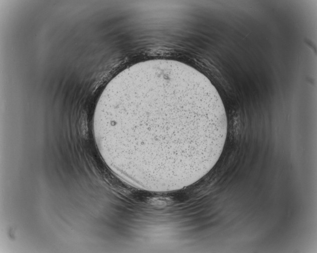 X0000102220508200808221249