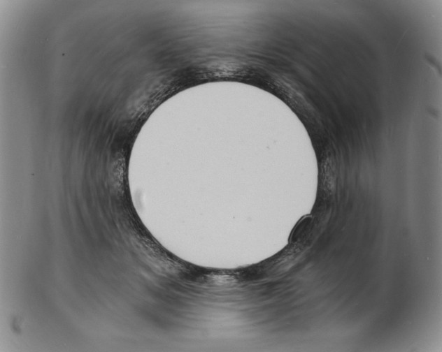 X0000102220509200808221249