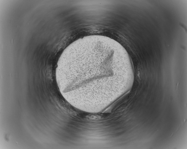 X0000102220512200808221249