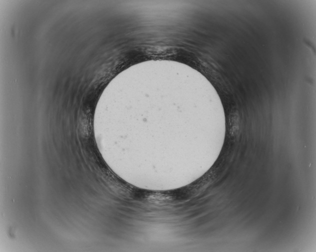 X0000102220515200808221249