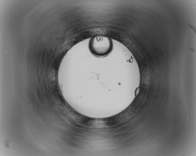 X0000102220518200808221249