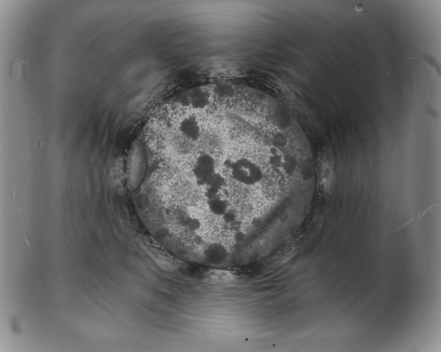 X0000102220519200808221249