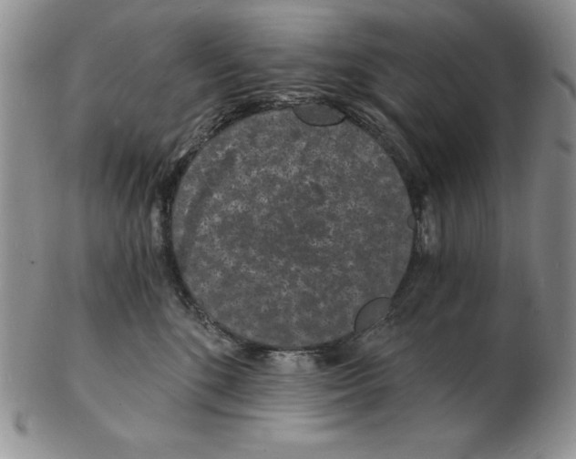 X0000102220520200808221248