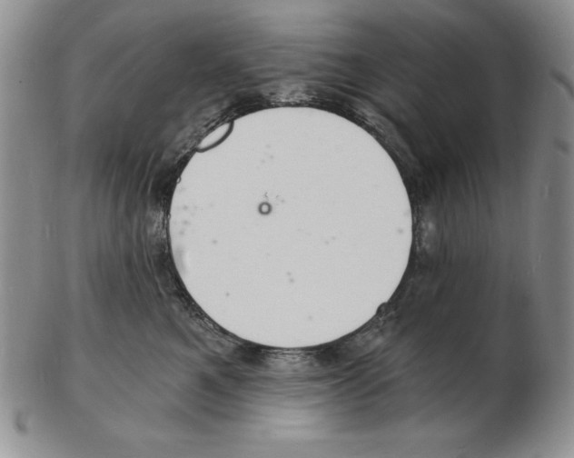 X0000102220521200808221248