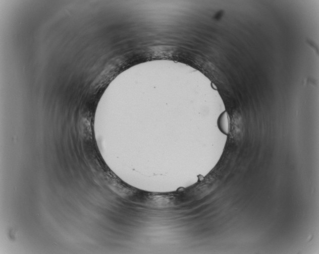 X0000102220522200808221248