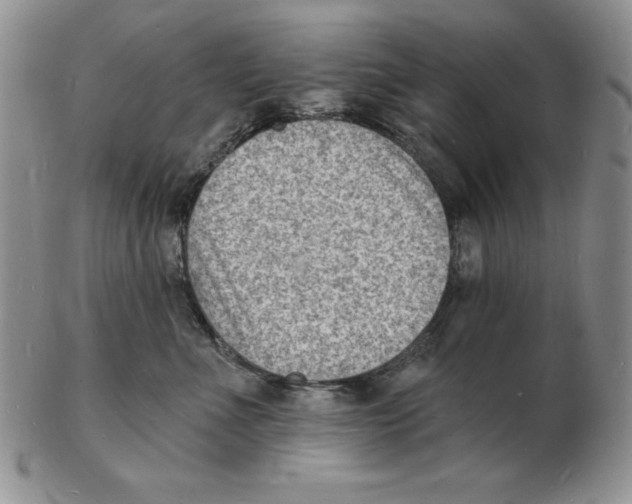 X0000102220523200808221248