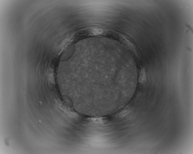 X0000102220524200808221248