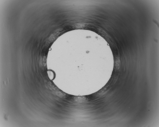 X0000102220525200808221248