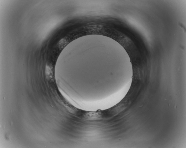 X0000102220526200808221248