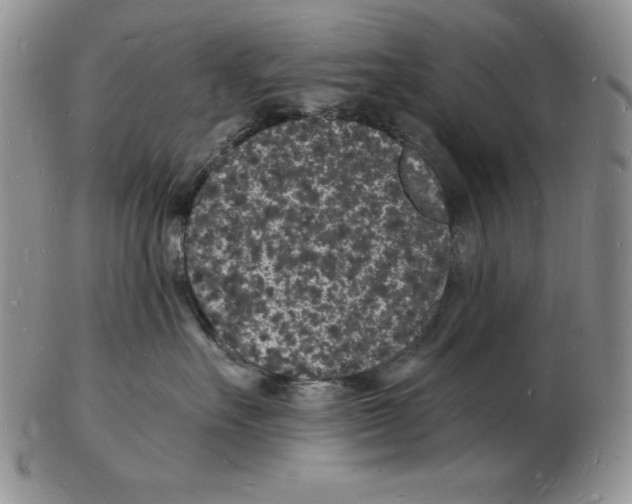 X0000102220527200808221248