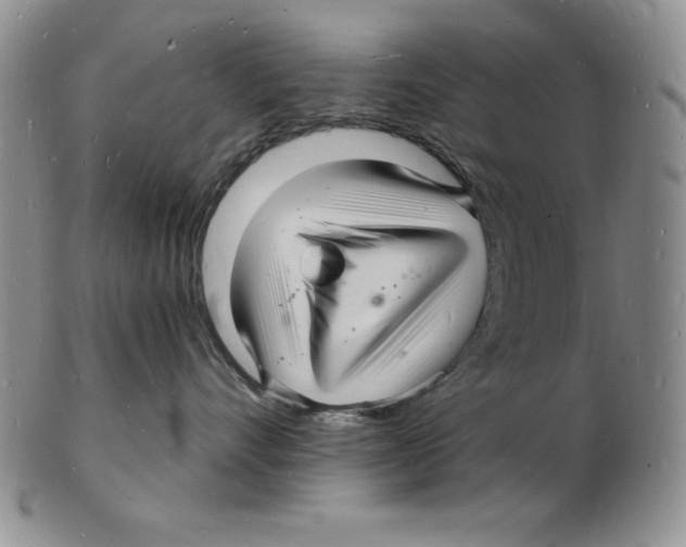 X0000102220528200808221248