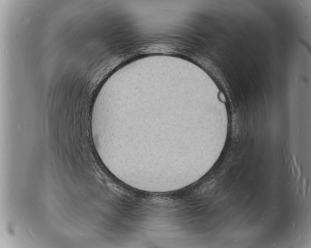 X0000102220529200808221248