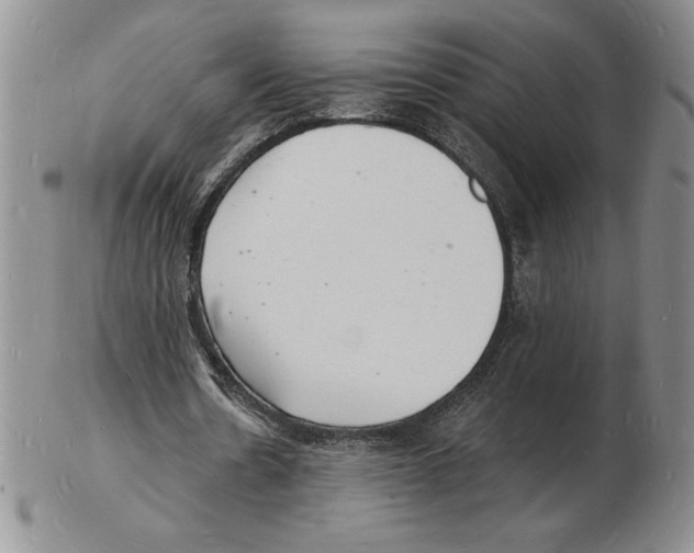 X0000102220530200808221248