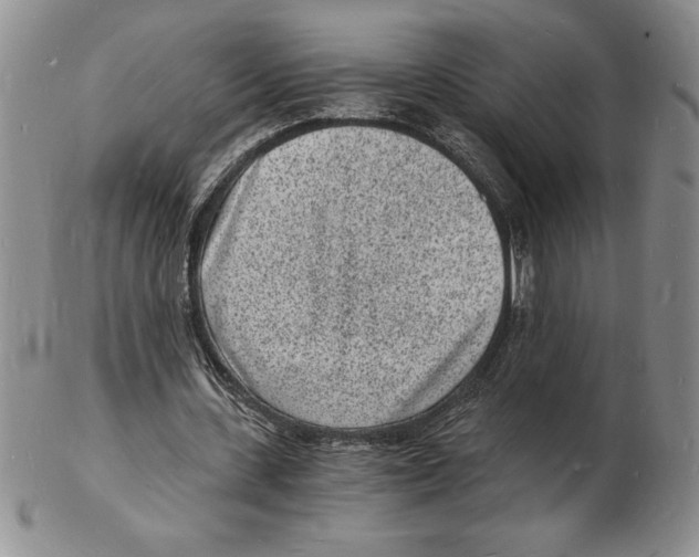 X0000102220531200808221248