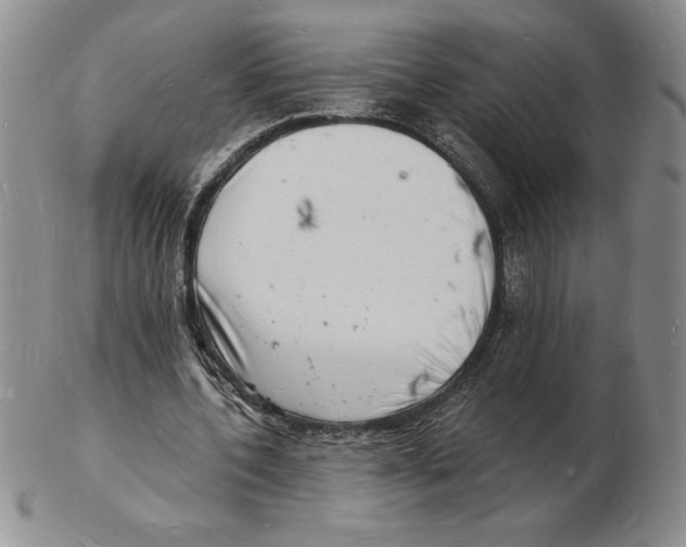 X0000102220532200808221248