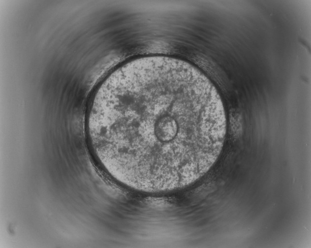 X0000102220534200808221248