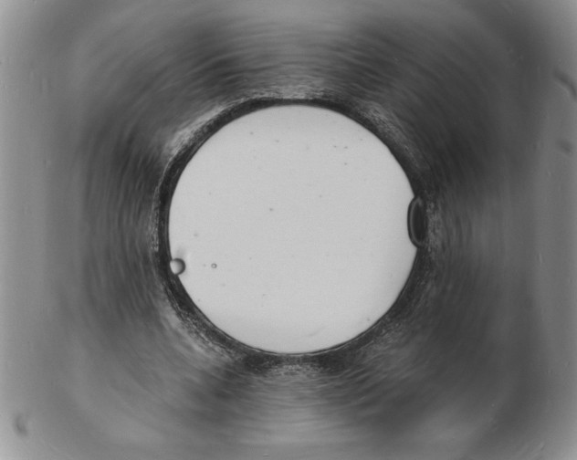 X0000102220536200808221248