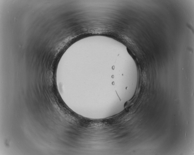 X0000102220540200808221248