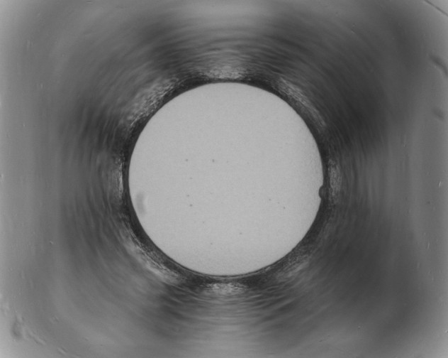 X0000102220541200808221248