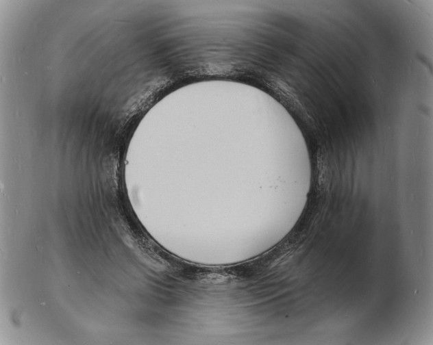 X0000102220542200808221248