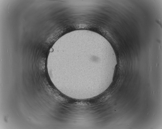 X0000102220545200808221248