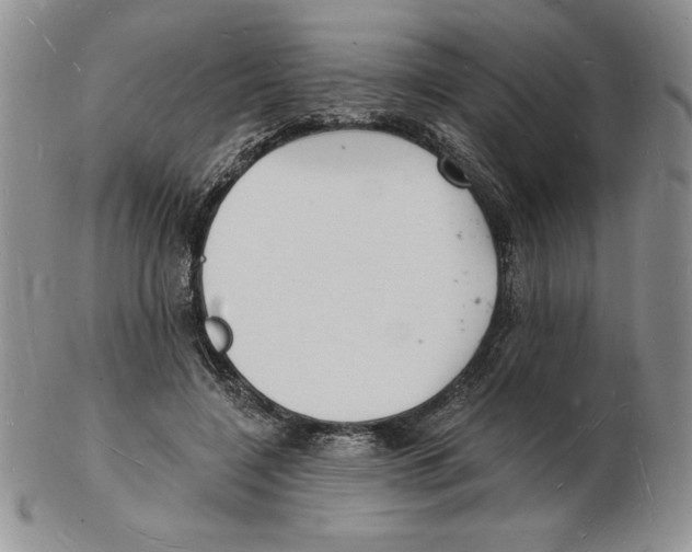 X0000102220548200808221248