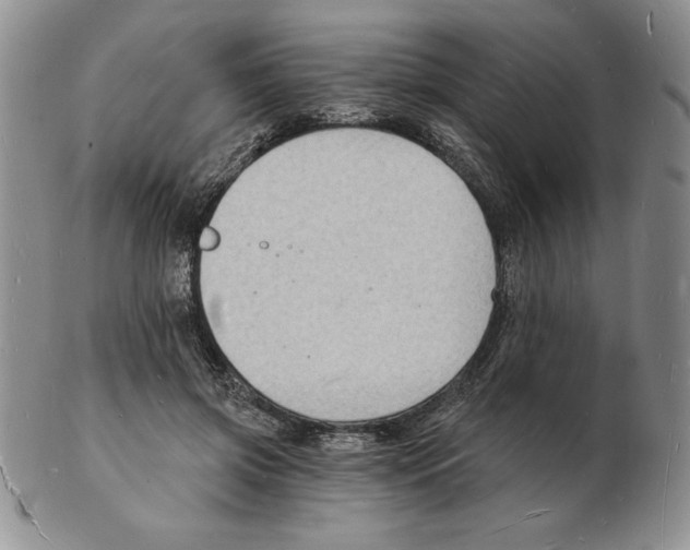 X0000102220549200808221248