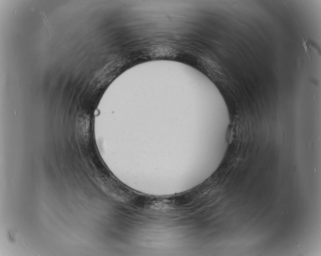 X0000102220550200808221248