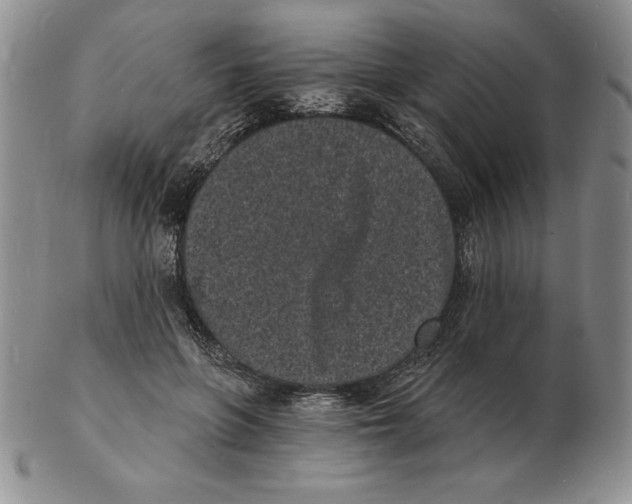 X0000102220551200808221248