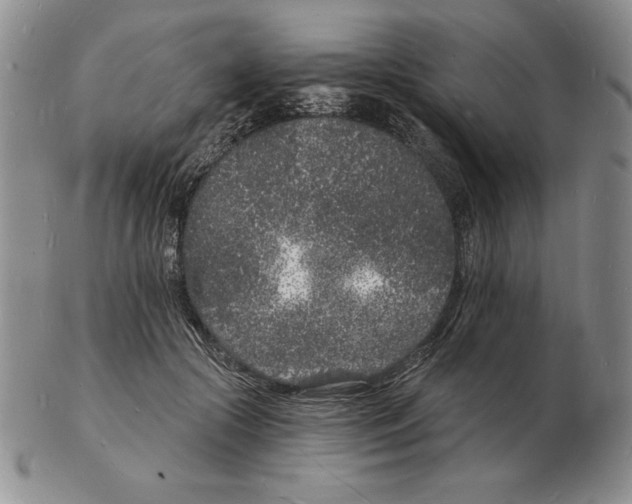 X0000102220553200808221248