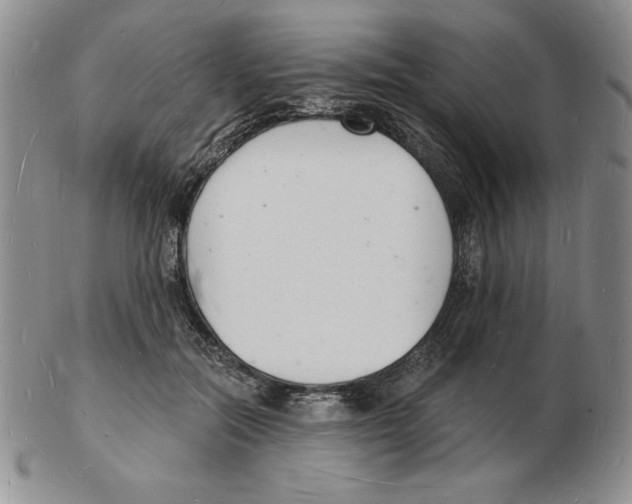 X0000102220554200808221248