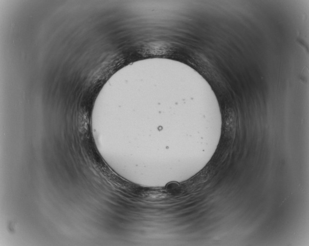 X0000102220555200808221248