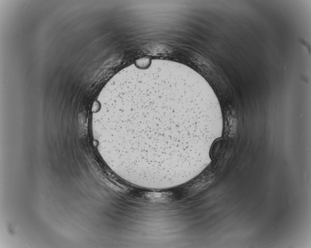 X0000102220558200808221248