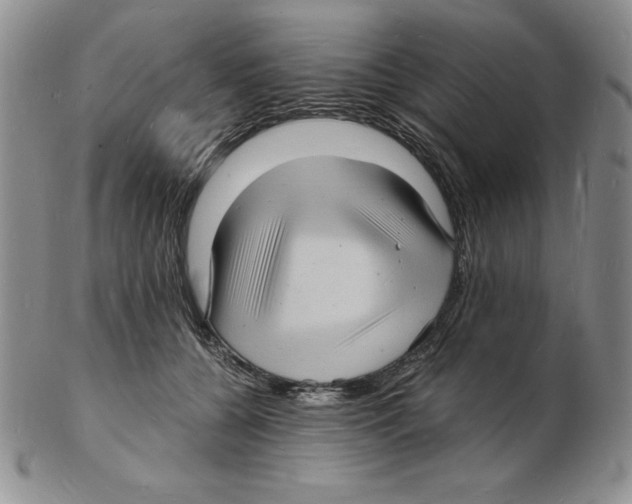 X0000102220560200808221248