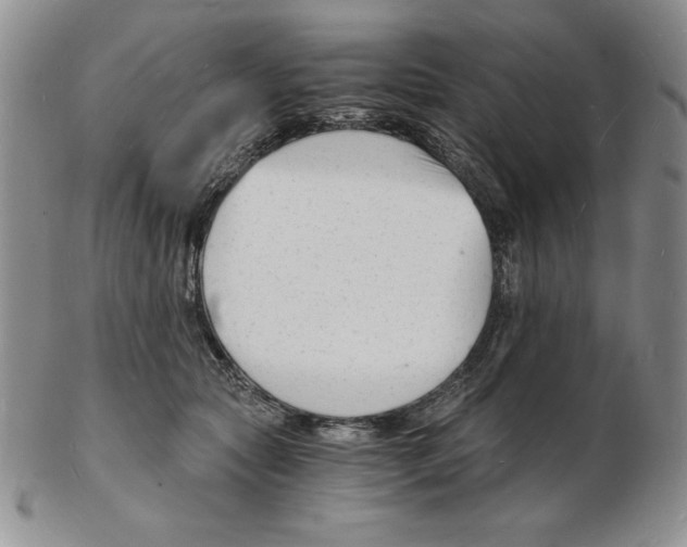 X0000102220561200808221248