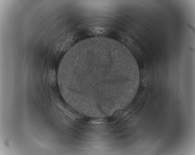 X0000102220563200808221248