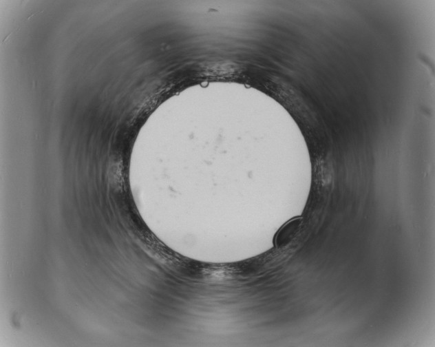 X0000102220564200808221248