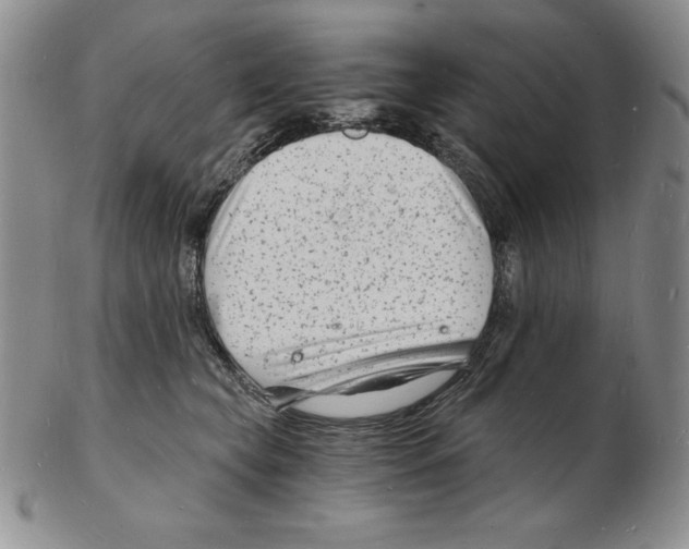 X0000102220565200808221248