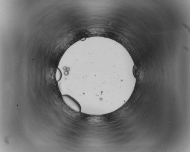 X0000102220567200808221248