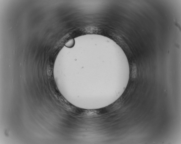 X0000102220569200808221248