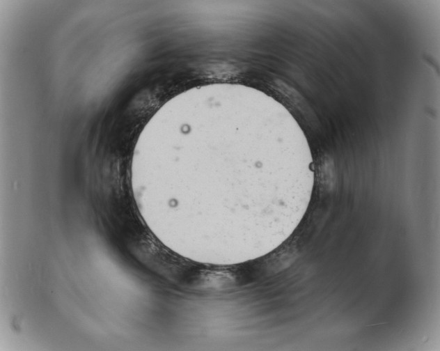 X0000102220572200808221248