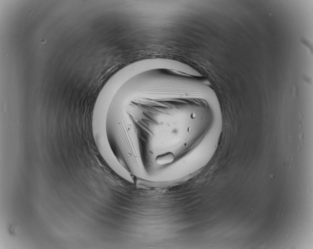 X0000102220576200808221248