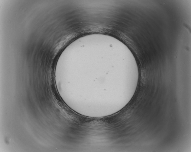 X0000102220578200808221248