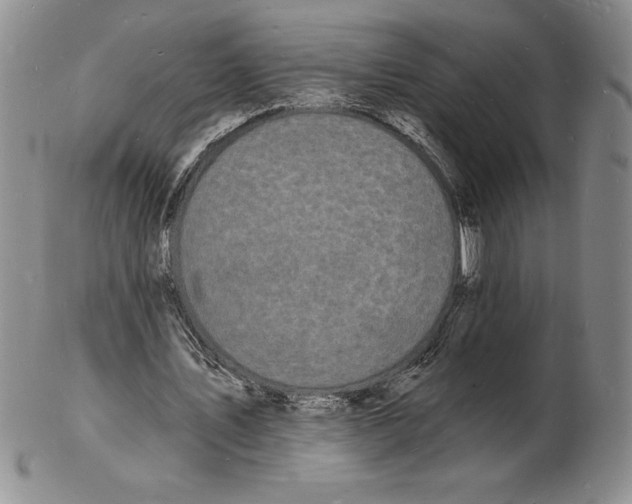 X0000102220579200808221248