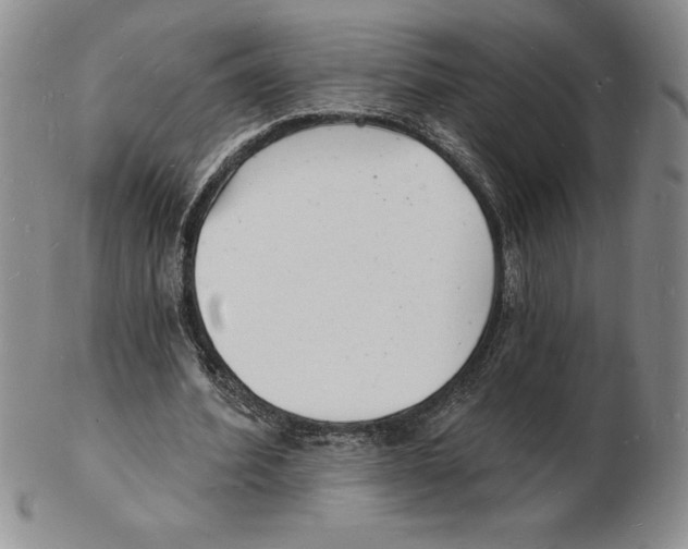 X0000102220580200808221247