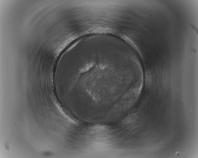 X0000102220581200808221247