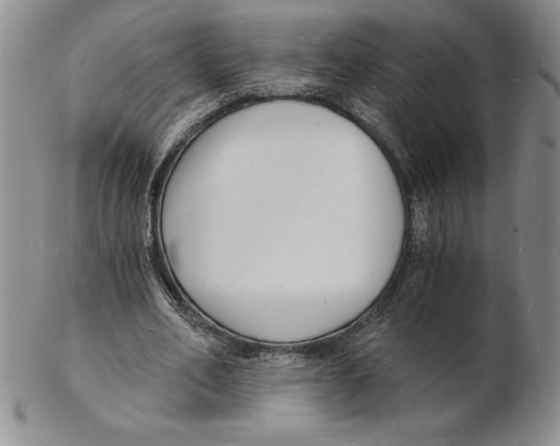 X0000102220582200808221247