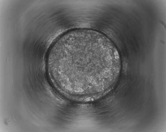 X0000102220584200808221247