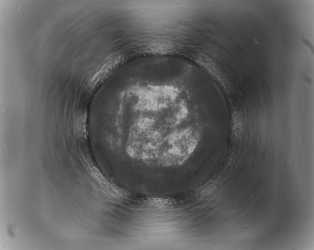 X0000102220585200808221247